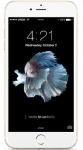 תיקון מסך אייפון Apple iPhone 6S