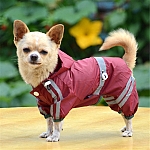 מעיל גשם ניילון לכלבים