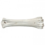 עצם סידן לכלב חום/לבן
