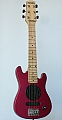 Brum Guitar