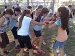 הפעלות גיבוש לילדים