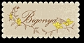 bigonya -תכשיטים וסרטי שיער מעוצבים